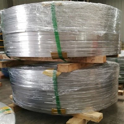 Сталева котушка ASTM A36
